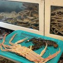 소문난할인마트 이미지