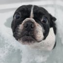 (주)가온메디 이미지