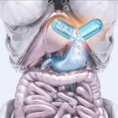 코리아정형외과의원 | 오송 다이어트, 비만 치료의 성공을 결정짓는 과학적 시스템과 의학적 설계