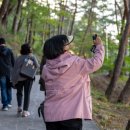 웅양면-31 이미지