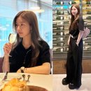 와이드라이프24