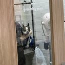 견살롱 네이버블로그