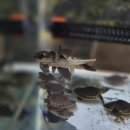 동탄대로21가길 이미지