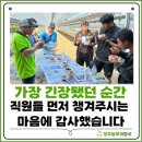 최미숙농장 네이버블로그