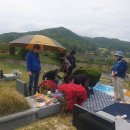 두부사랑 이미지