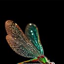 행복한의료기 이미지