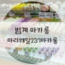 마리웨일237범계 | 범계 마카롱 :: 마리웨일237 마카롱에서 당 충전♡