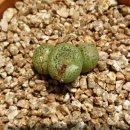 커피내음 이미지