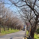 낙동대로 1739번길 이미지