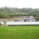 늘푸른농원 - 예산군 충서로 478 | 늘푸른농원