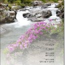 다시봄날 티스토리