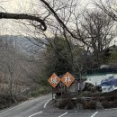 성림가든 | 진례]공기 좋은 곳에서 만난 옻닭맛집 내돈내산 몸보신 재방문후기｜가족외식추천｜백숙맛집｜옻알러지 약