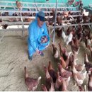 차씨축산 이미지