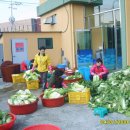 보령적십자봉사관 이미지