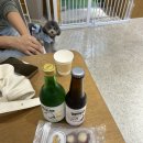 댕냥잇츠 이미지