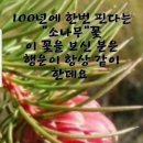 함께합시다 이미지