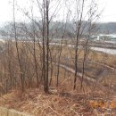 금왕사우나 이미지