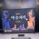 과천시민회관 갤러리아라 | 과천시민회관 국립오페라단 〈마술피리〉 솔직 후기! 1층 시야부터 아이 관람 팁·유튜브 예습 영상 추천 🎭