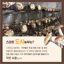 스마트도시농부협동조합 이미지