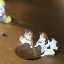 카페다다 네이버블로그