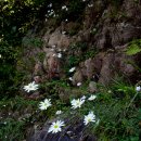 속사마을회관 이미지