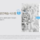 사계절의류 이미지