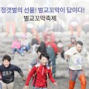 미리내교앞 이미지