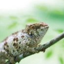 (주)충인 이미지