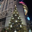 명성송이대게 | [명동 - 롯데호텔 라세느뷔페] 크리스마스 시즌에 뜻깊은 자리! 담뿍