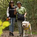 펫 클럽 이미지