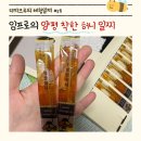 프릿지 리찌크루 체험일찌 58. 임프로의 양평 착한 허니 체험일찌