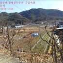 팔조리 이미지