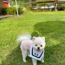 모찌네쌀롱 이미지