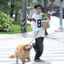 전원사주 | 일일님 사주 후기