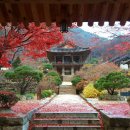 영주온천관광호텔 이미지