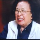 짐나빌레라 이미지