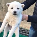 진교면사무소 이미지