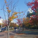 장자대로 이미지