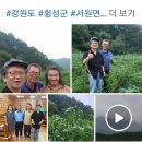 동당미농장 네이버블로그