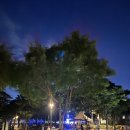 양재2동 주민센터 | 서초구 양재2동 돗자리극장 동네 축제 미니언즈 2 악당 명대사 관람 후기