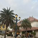 비치인형뽑기 이미지