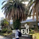 테우로26 이미지