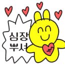 롯데미용실 이미지