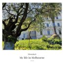 피츠로이가든 | [호주] 멜버른 어학원 친구들과 작별, 피츠로이 가든 피크닉, Mile End Bagels 후기