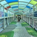 증포초교 이미지