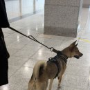 (주)메가드림 | 260529 일산 킨텍스 2026 메가주 후기
