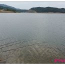 율치제 Daum카페