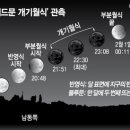 레드문 티스토리