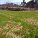 황진농장 이미지