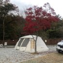 예당관광지 | [충남 예산] 예당관광지 국민여가캠핑장(사이트 정보)